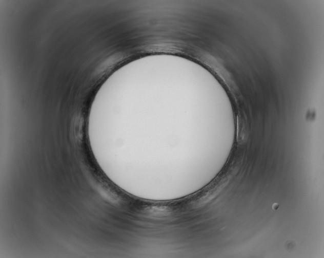 X0000100320157200807031219