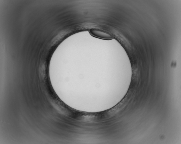 X0000100320158200807031219