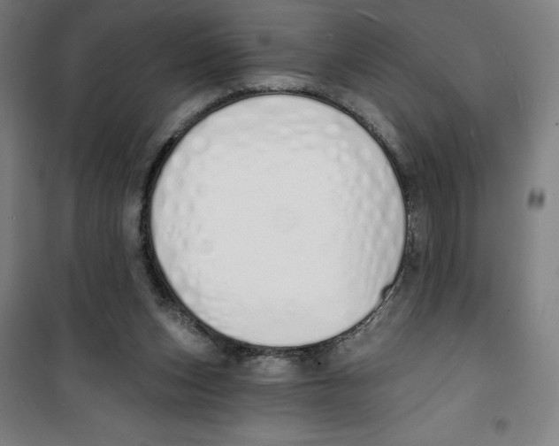 X0000100320159200807031219