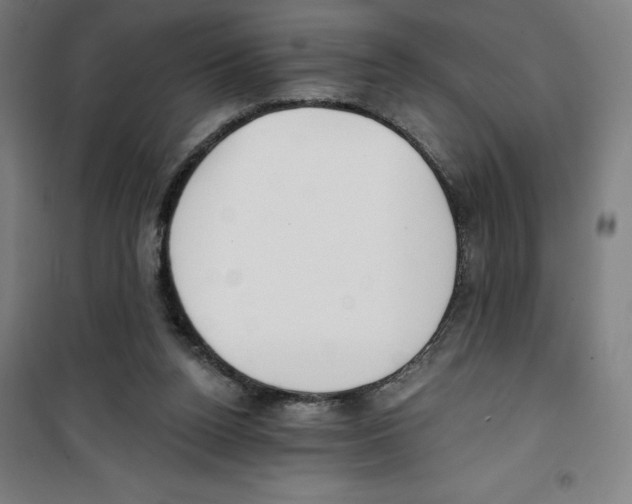 X0000100320160200807031219