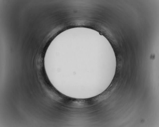 X0000100320164200807031219