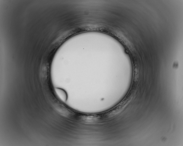 X0000100320165200807031219