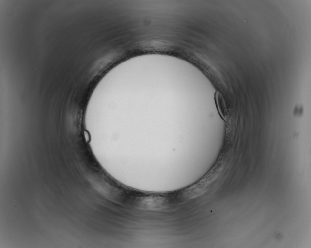 X0000100320168200807031219