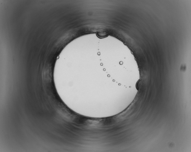 X0000100320170200807031219