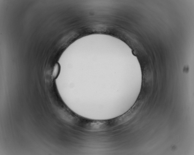 X0000100320172200807031219