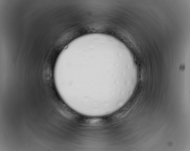 X0000100320173200807031219