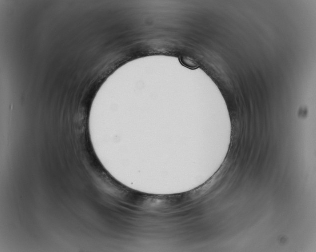 X0000100320174200807031219