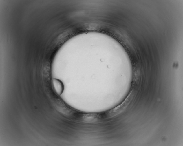 X0000100320175200807031219