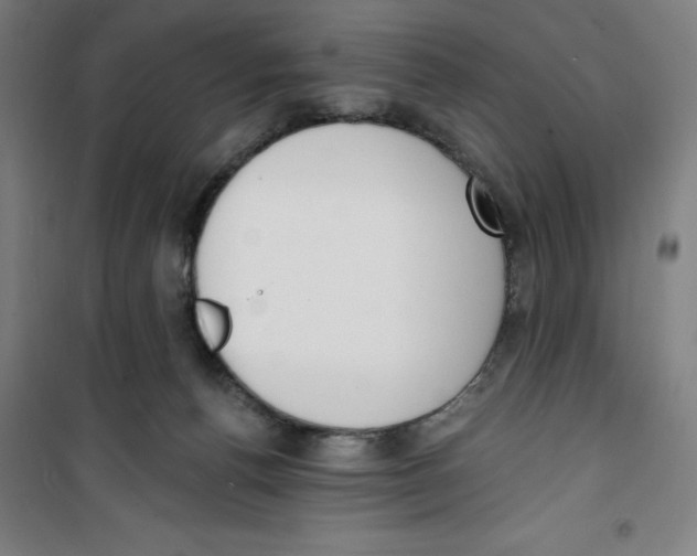 X0000100320176200807031219