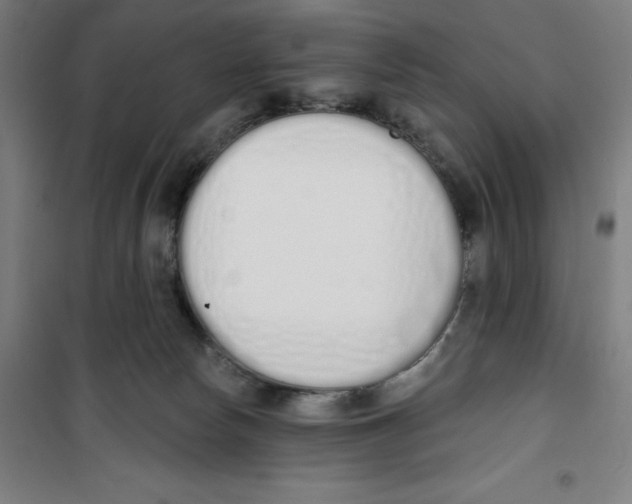 X0000100320178200807031219