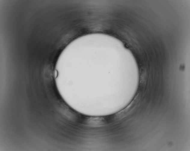 X0000100320179200807031219