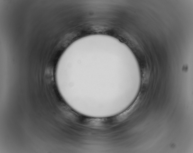 X0000100320182200807031219