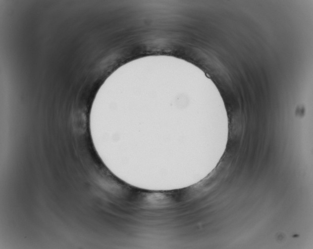 X0000100320183200807031219