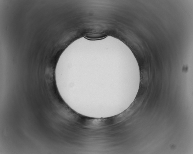 X0000100320184200807031219