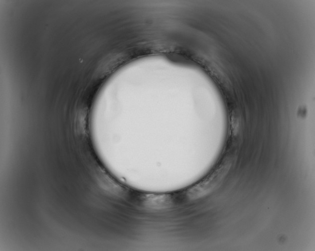 X0000100320185200807031219