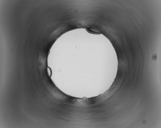 X0000100320188200807031219