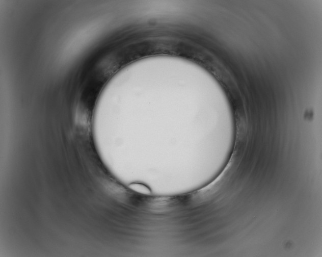 X0000100320191200807031219