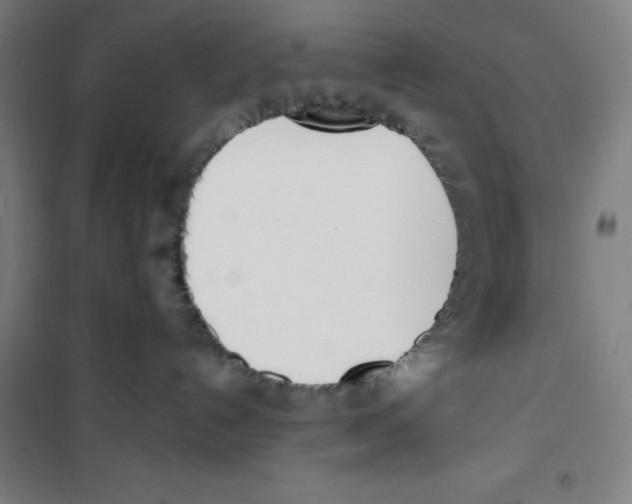 X0000100320192200807031219