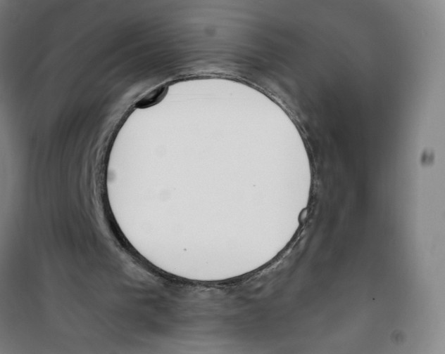 X0000100320193200807031219