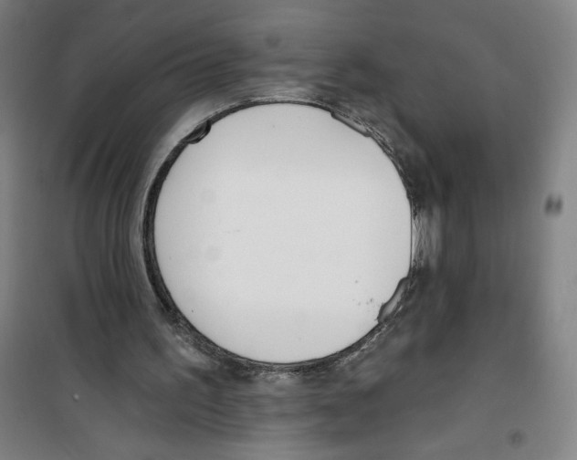 X0000100320195200807031219