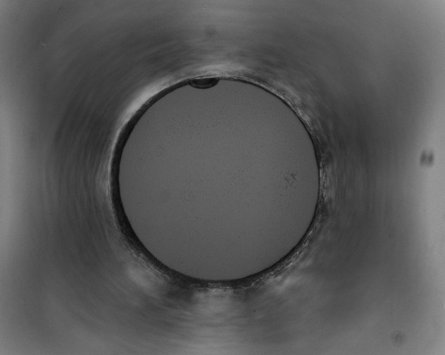 X0000100320196200807031219