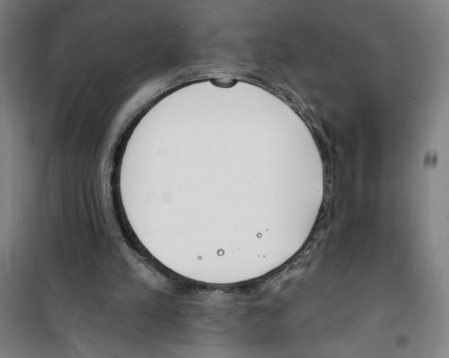 X0000100320197200807031219