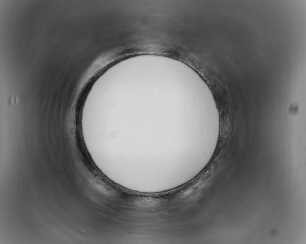 X0000100320198200807031219