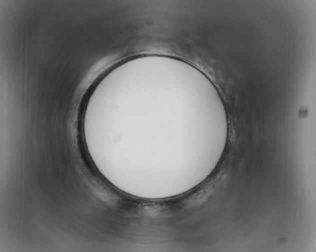 X0000100320199200807031219