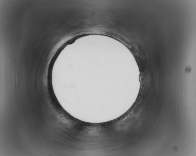 X0000100320200200807031219