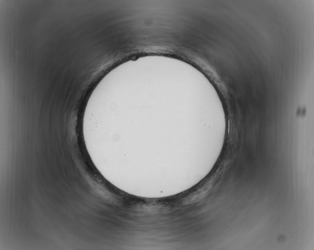 X0000100320201200807031219