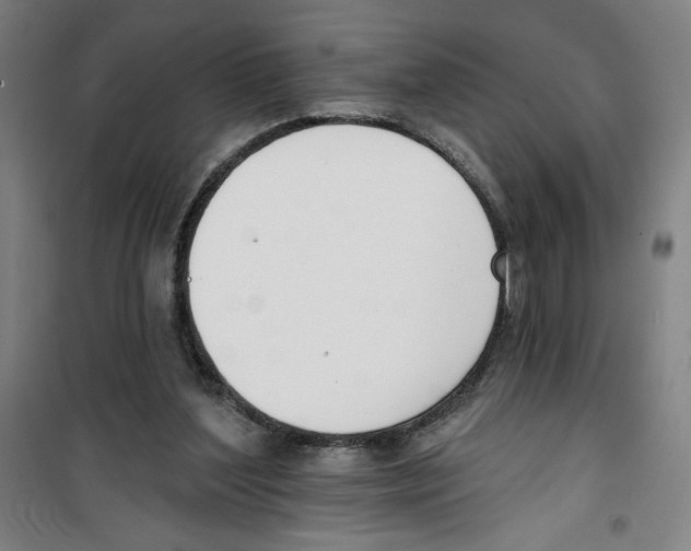 X0000100320204200807031219