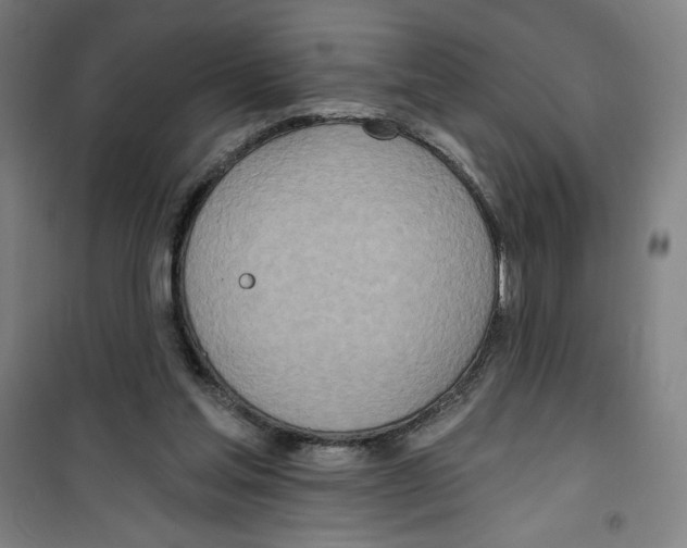 X0000100320205200807031219