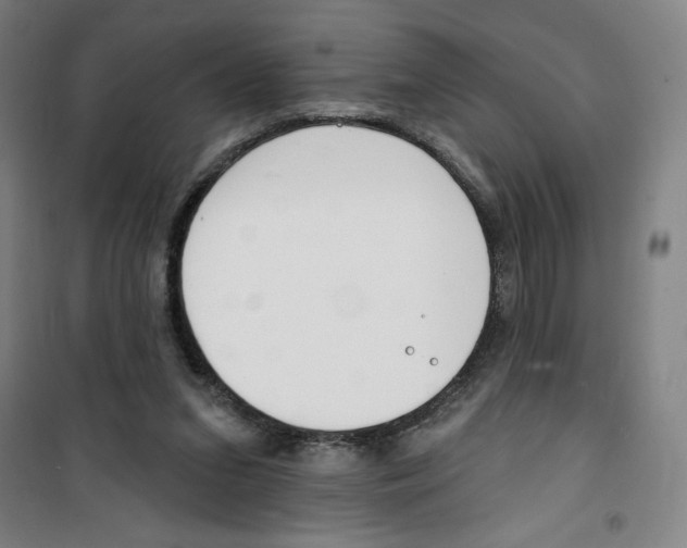 X0000100320207200807031218