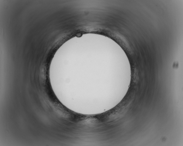 X0000100320210200807031218