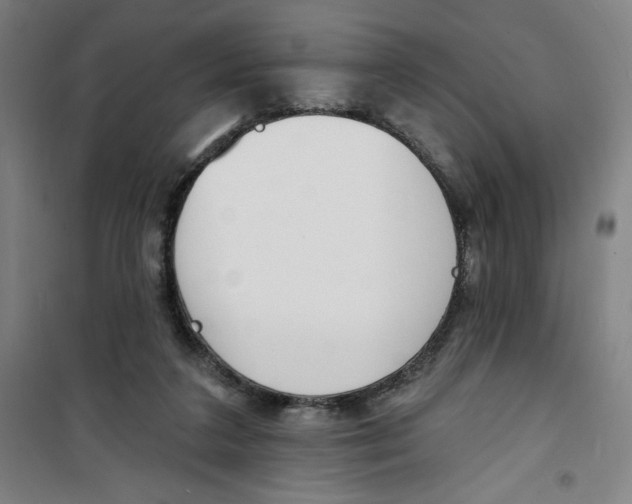 X0000100320211200807031218