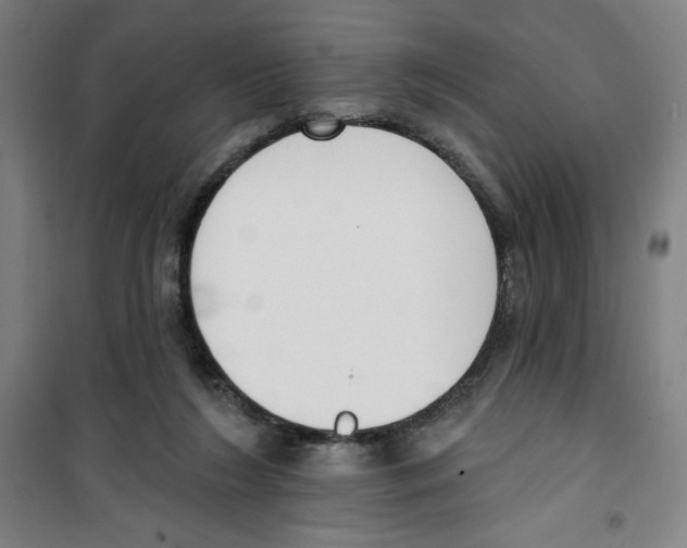 X0000100320212200807031218