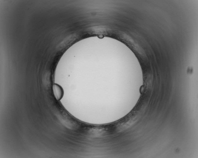 X0000100320213200807031218