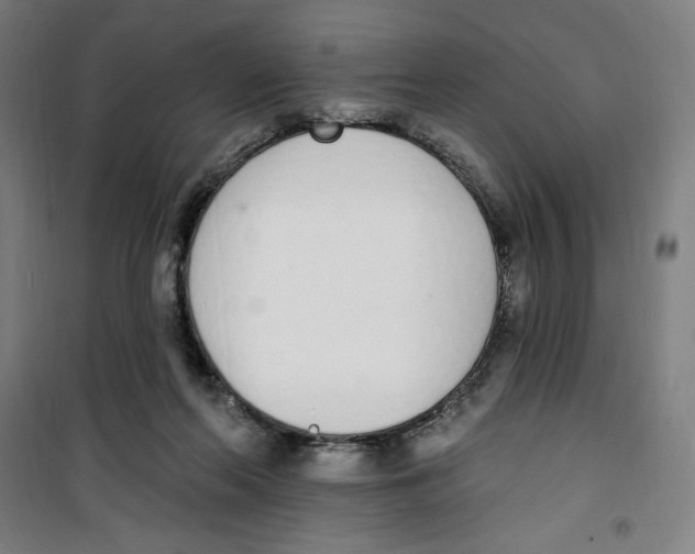 X0000100320214200807031218