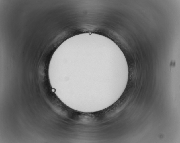 X0000100320215200807031218