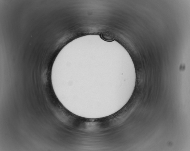 X0000100320216200807031218