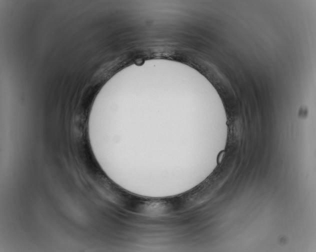 X0000100320218200807031218