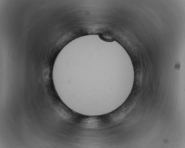 X0000100320219200807031218