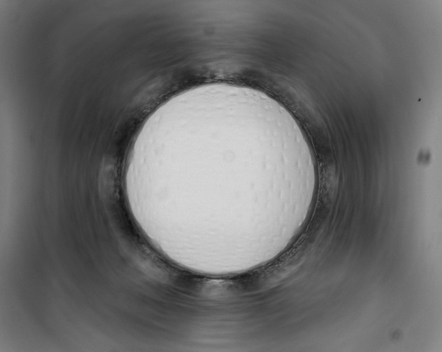 X0000100320222200807031218