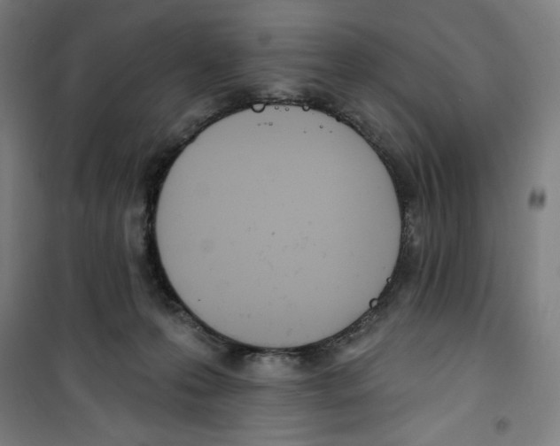 X0000100320223200807031218