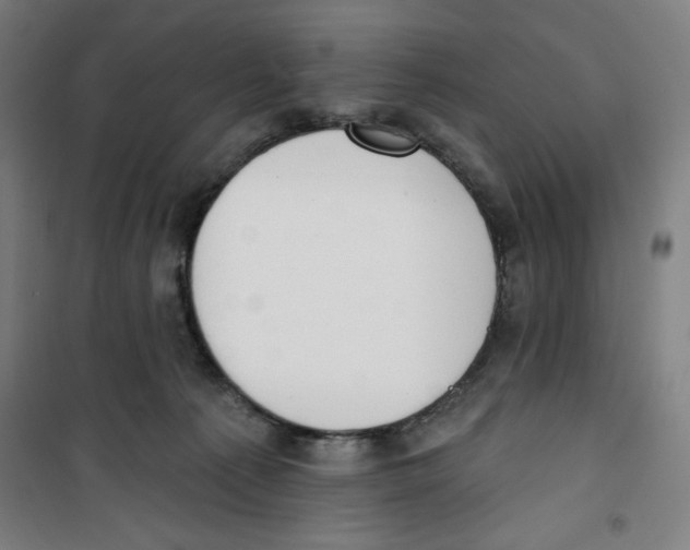 X0000100320225200807031218