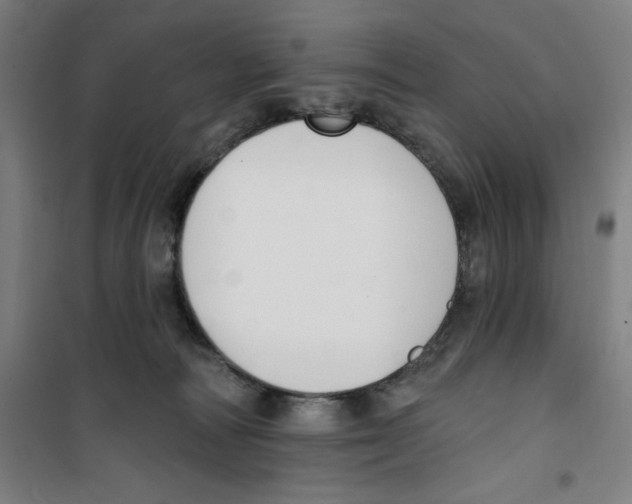 X0000100320226200807031218