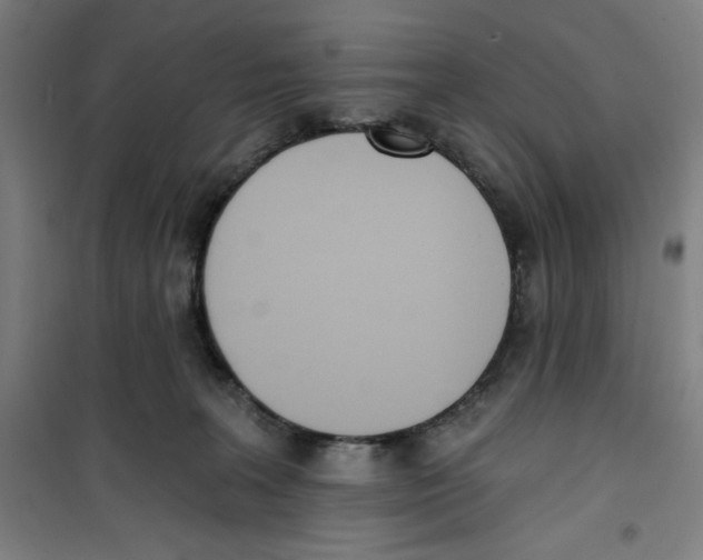 X0000100320227200807031218