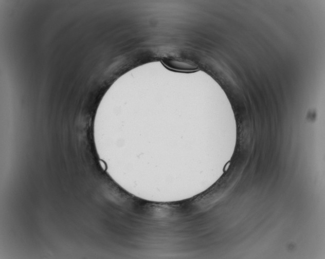 X0000100320229200807031218