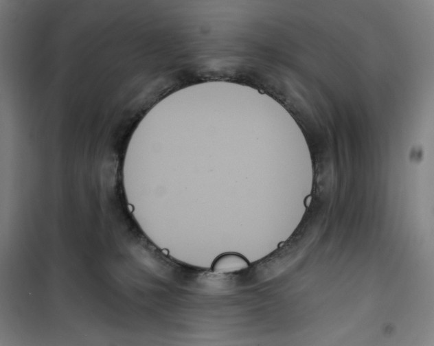 X0000100320231200807031218