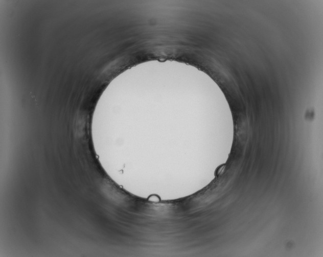 X0000100320233200807031218